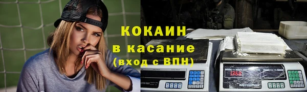 сатива Аркадак